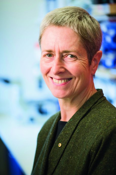 Aligning immunology and virology Aligning immunology and virology