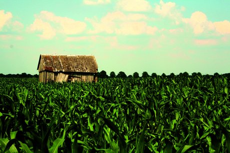 Nitrogen sustainability - a race against time Nitrogen sustainability - a race against time