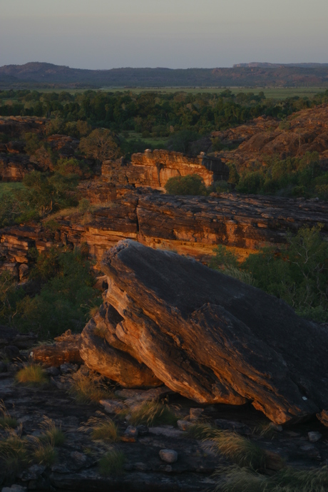 NEC, NT to launch IT apprenticeship program