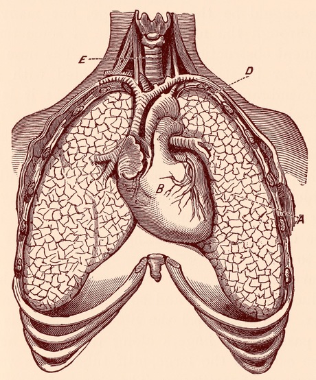 Four-dimensional lung X-ray wins award