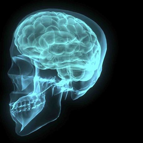 Knowledge management projects should focus on the practical