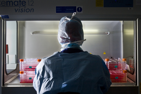 Chronic inflammatory disease on trial