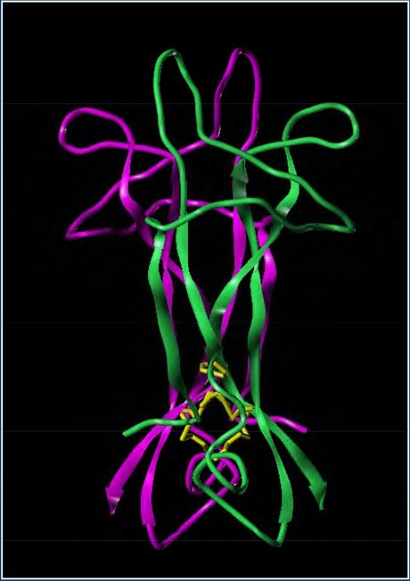 Mimicking a cure Mimicking a cure