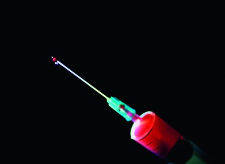 Anatomy of an HCV infection Anatomy of an HCV infection