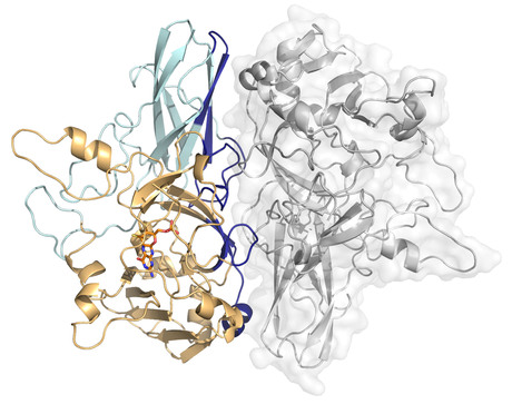 The magic of molybdenum The magic of molybdenum