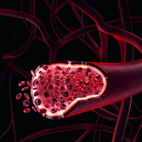 The microRNA perspective The microRNA perspective