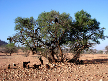 Enterprise networks must become more agile