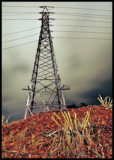 Cyberattacks on essential service companies on rise Cyberattacks on essential service companies on rise