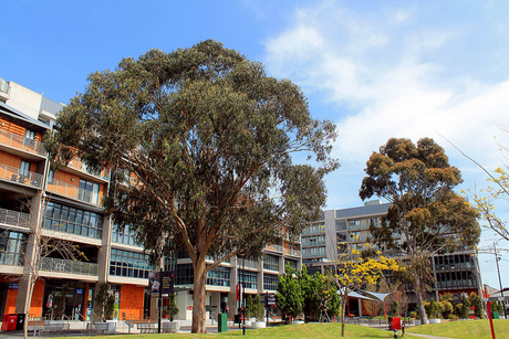 NICTA, Swinburne Uni open software R&D lab NICTA, Swinburne Uni open software R&D lab