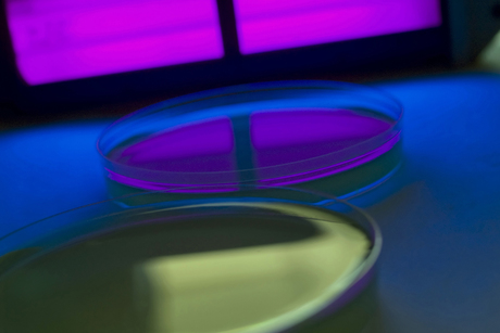 NCRIS funding secured NCRIS funding secured