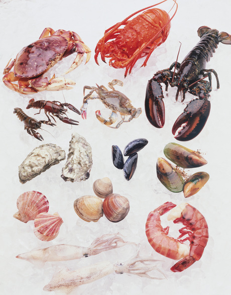 Good conditions for Australian seafood industry growth