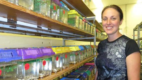 Scientists said to be tweaking their experiments