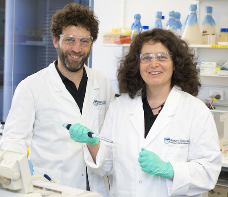 Better understanding life&#39;s blueprint