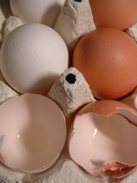 Rugged computers are more than just 'hard shells' Rugged computers are more than just 'hard shells'