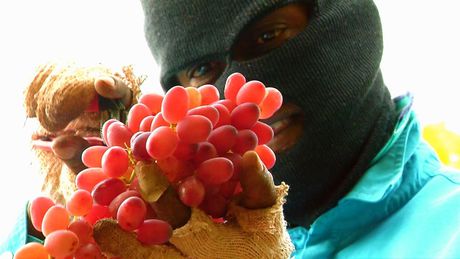 Slavery in the Australian food industry: how complicit are we?