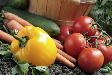 Are organic labels just an excuse to charge more? US consumers think so