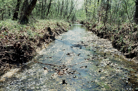 Microbial communities can assess environmental contamination Microbial communities can assess environmental contamination