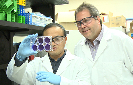 Vaccines developed for H5N1, H7N9 avian influenza strains Vaccines developed for H5N1, H7N9 avian influenza strains