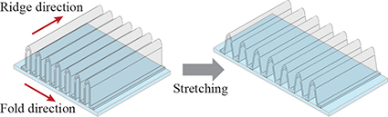 Transparent, stretchable conductors with nano-accordion structure Transparent, stretchable conductors with nano-accordion structure