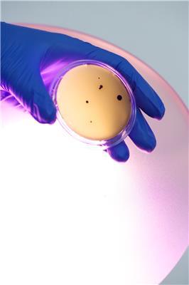 The light way to reduce HAIs