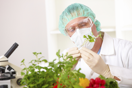 Revealed: why GM food is so hard to sell to a wary public Revealed: why GM food is so hard to sell to a wary public