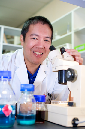 Synthetic plastics to prevent bacterial biofilms Synthetic plastics to prevent bacterial biofilms