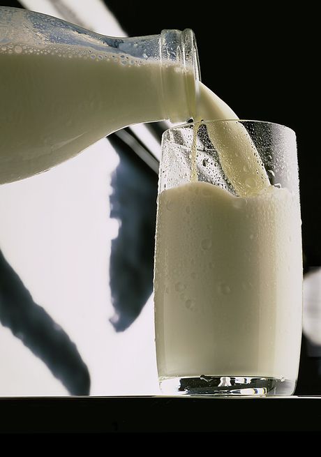 Instructions: Take dairy product with your probiotic