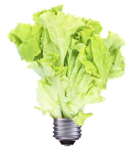 Smart waste technology key to circular economy