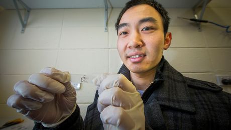 Sticky tape could help to develop thinner solar cells Sticky tape could help to develop thinner solar cells