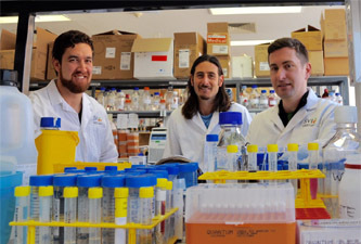 A security guard for cells A security guard for cells