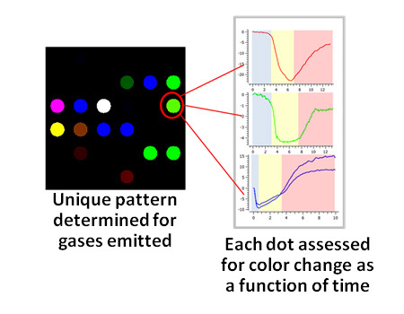 Sensor technology sniffs out cargo pests Sensor technology sniffs out cargo pests