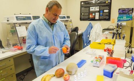 Tracing contaminated produce has not been easy — until now Tracing contaminated produce has not been easy — until now
