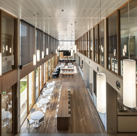 Exploring immunology at the Indo-Australian Biotechnology Conference