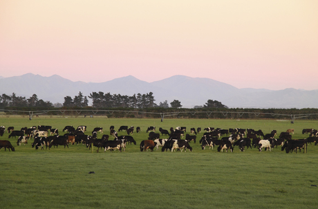 Australian agriculture must prepare itself for a hungrier, wealthier, fussier world