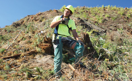 Radio enhances forestry safety