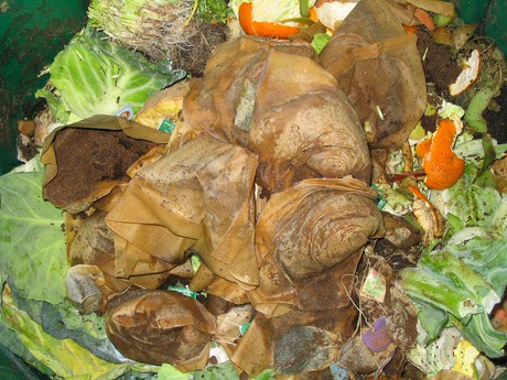Dumpster diving for dinner: do you have what it takes to eat 'freegan' food?