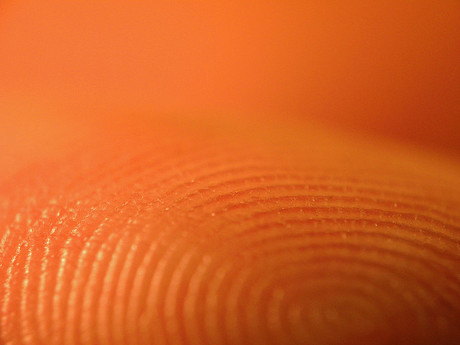 Fingerprints of 5.6m US federal workers stolen