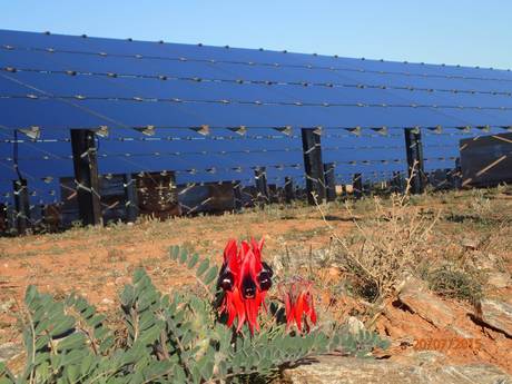 Final modules installed at Broken Hill Solar Plant