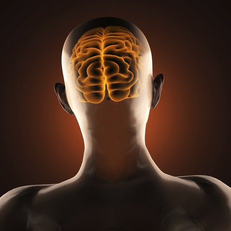 Magnetic energy can change your brain &mdash; and your ideology