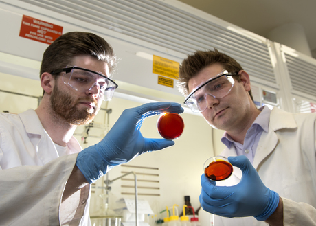 Industrial by-products clean up mercury pollution