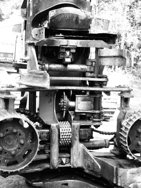 New Zealand celebrates innovations in sustainability