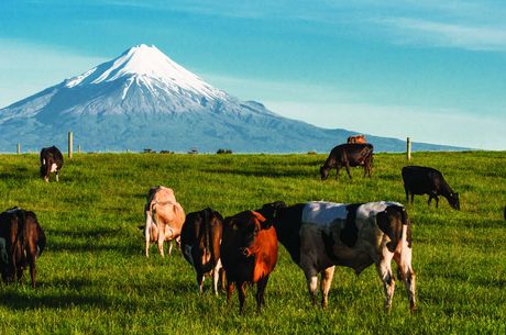 Conductivity measurement: a hidden key to dairy industry success