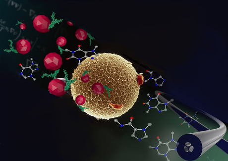 New nanoscale biophotonics research node