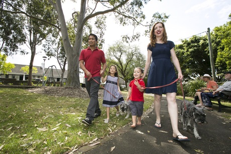 Urban forests help clear the air Urban forests help clear the air