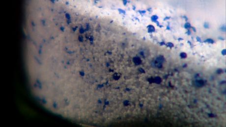 Microbeads and the need for a national ban Microbeads and the need for a national ban