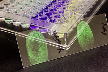 Your fingerprint can reveal whether you&#39;re male or female