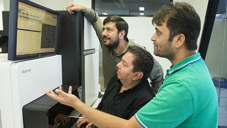 Identifying Alzheimer's genes Identifying Alzheimer's genes