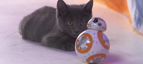 Geek Weekly: Technology Decisions&#39; quirky tech stories for 8 December 2015