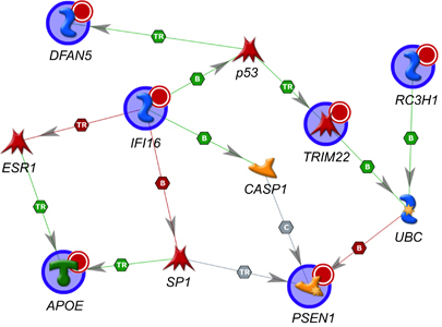 An advance in Alzheimer&#39;s research