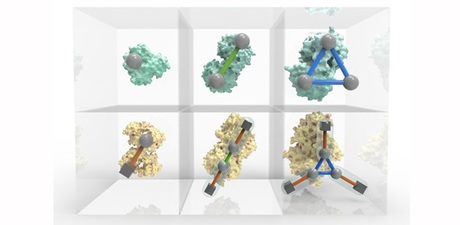 The periodic table of protein complexes